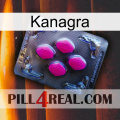 Kanagra 02